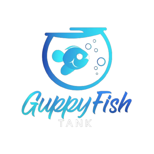 Guppy fish Tank