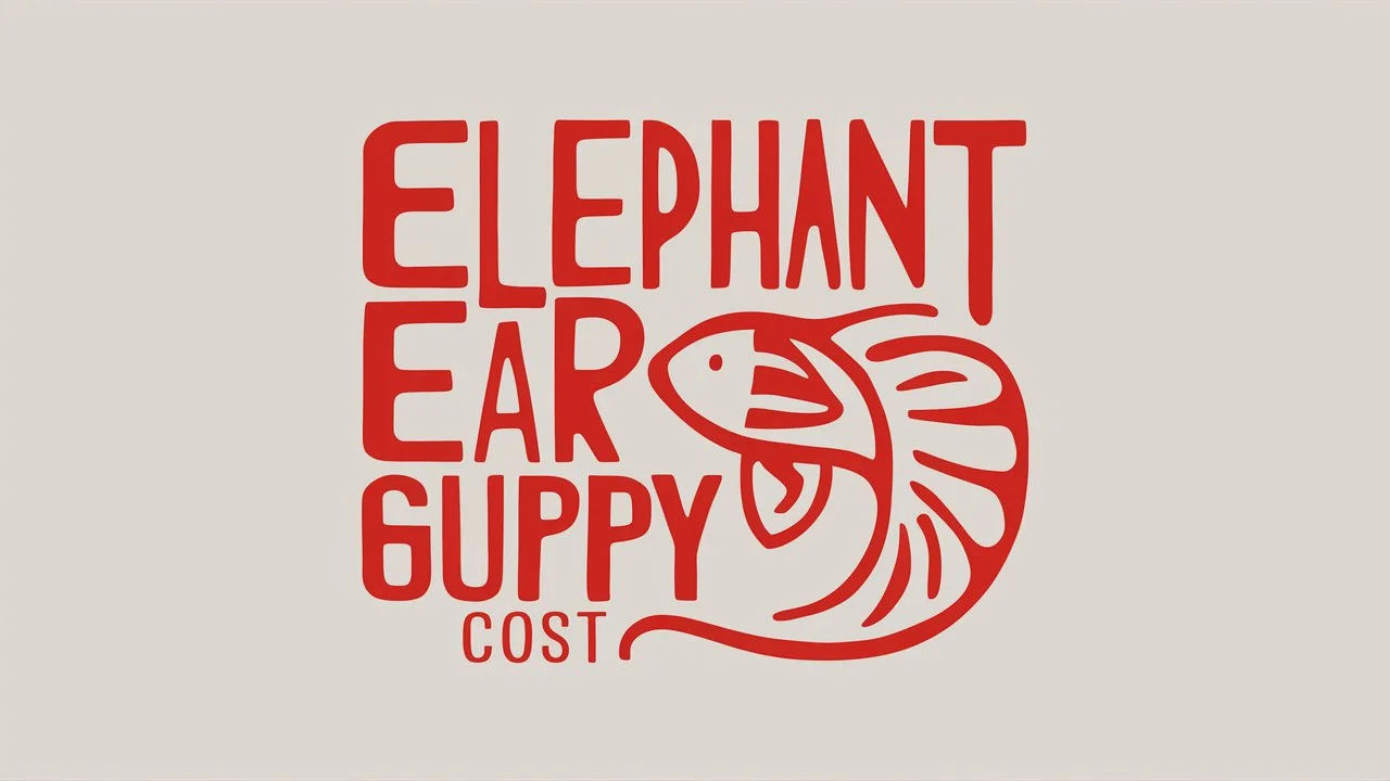 Elephant Ear Guppy Cost