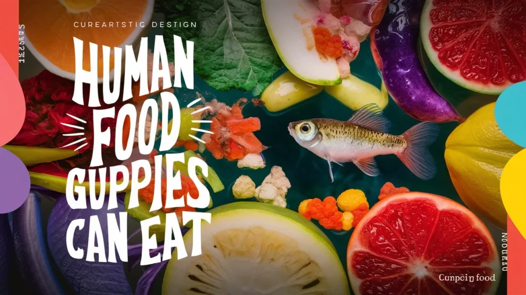 Human Food Can Guppies Eat