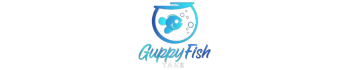 Guppy Fish Tank