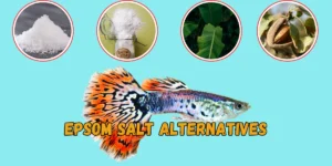 Epsom Salt Alternatives