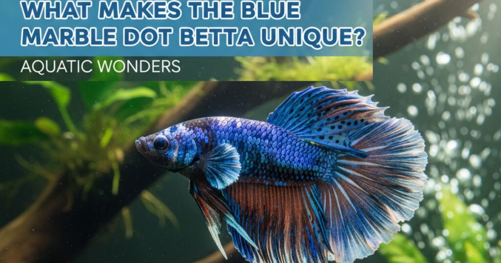 What Makes the Blue Marble Dot Betta Unique?