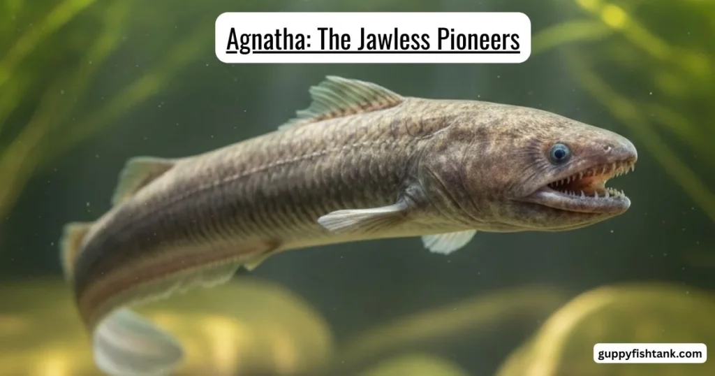 Agnatha: The Jawless Pioneers
